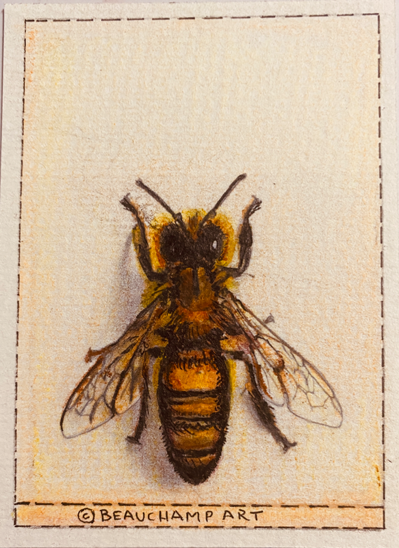 Bee Kind to Honey Girl aceo art card
