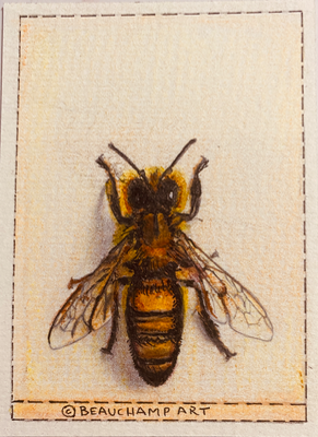 Bee Kind to Honey Girl aceo art card thumbnail 1