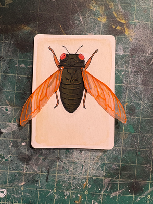 The 17 Year Cicada aceo art card thumbnail 1