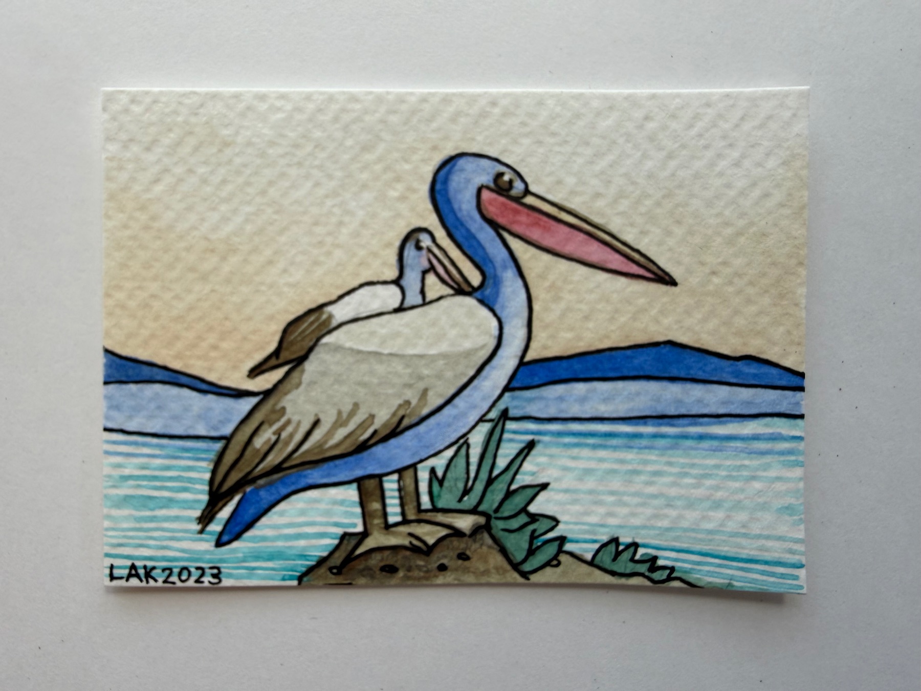 San Francisco Bay National Wildlife Refuge aceo art card