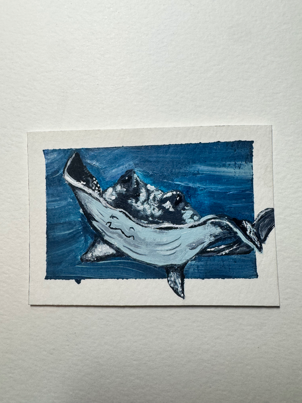 Manta ray sting ray ocean marine life acrylic painting Ashley Leary coastal marine life aceo art card
