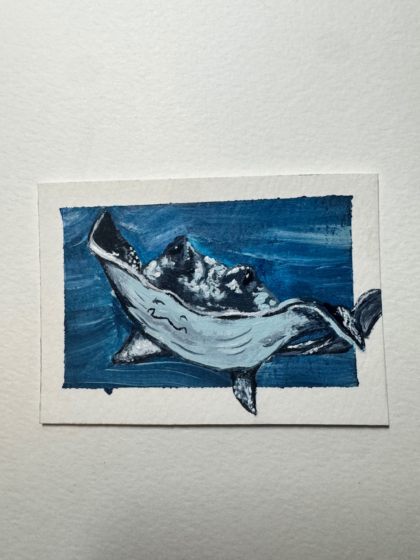 Manta ray sting ray ocean marine life acrylic painting Ashley Leary coastal marine life aceo art card