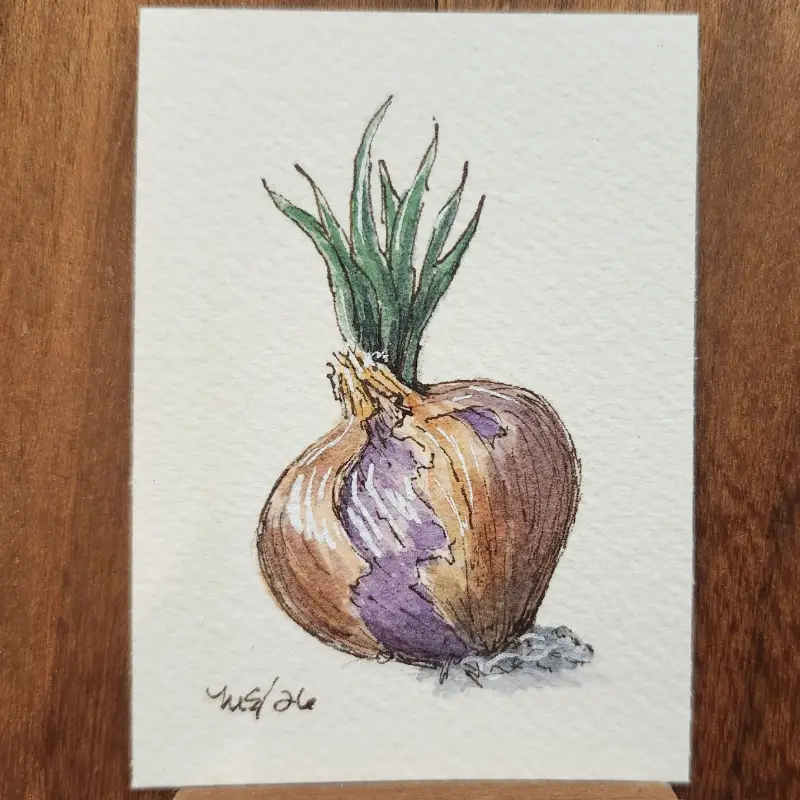 Purple Onion aceo art card