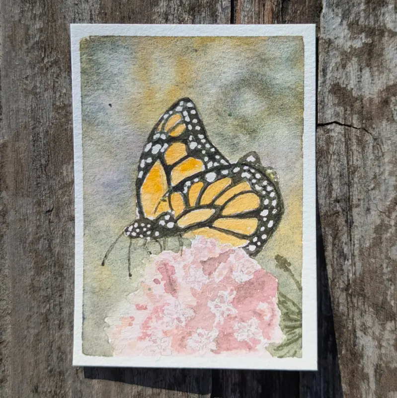 Monarch aceo art card