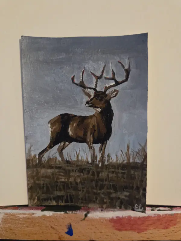 Buck Spotting aceo art card