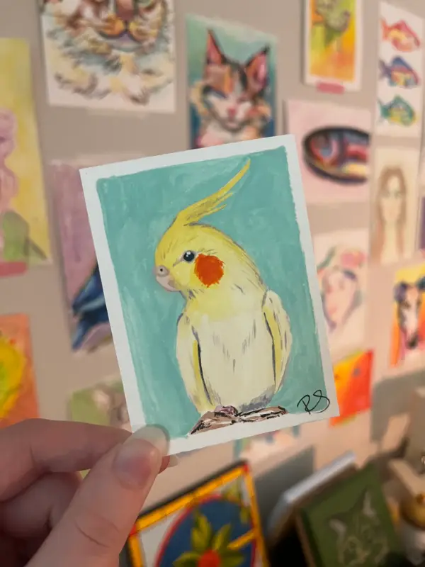 Cutie Pie Pied Cockatiel aceo art card