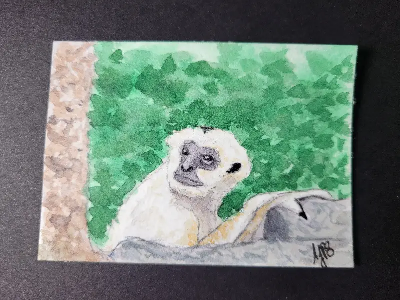 White Cheeked Gibbon aceo art card