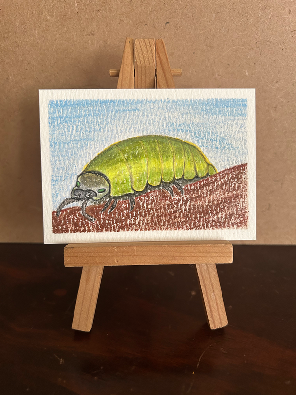 Roly Poly aceo art card