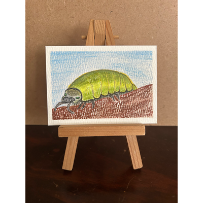 Roly Poly aceo art card thumbnail 1