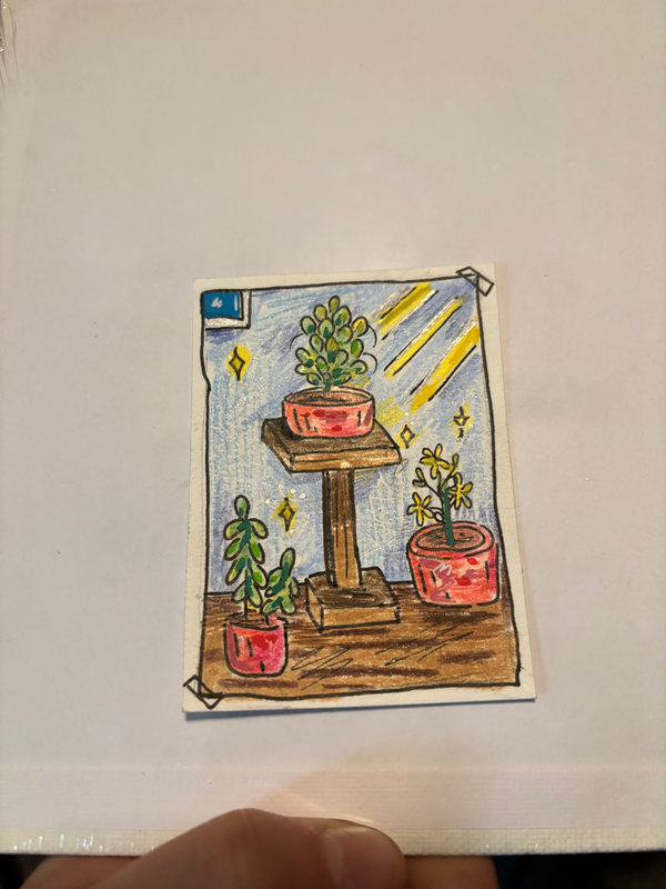 Plants at Home aceo art card