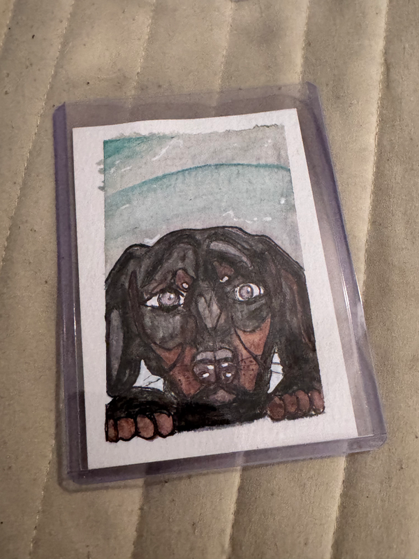 Frankie aceo art card