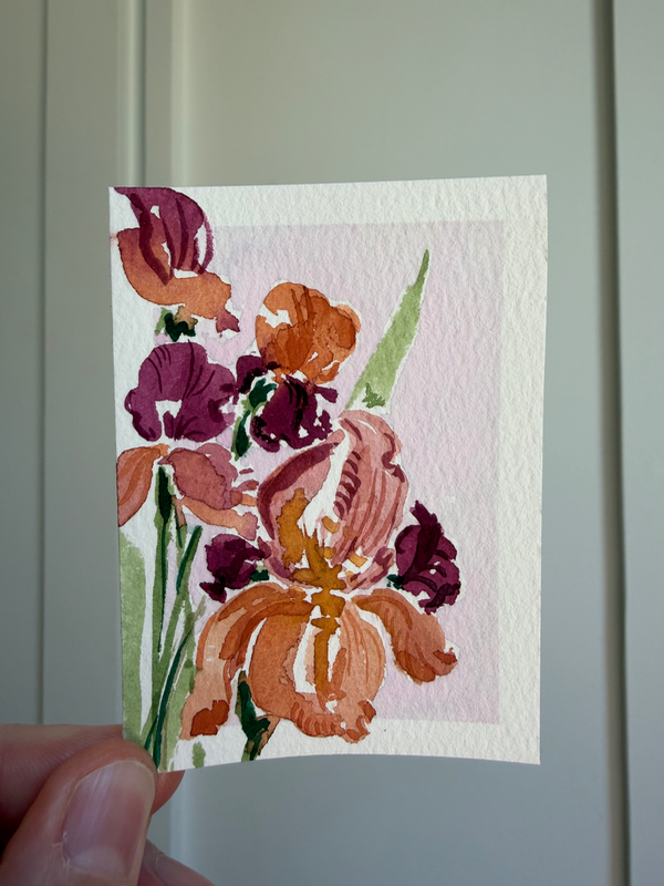 Iris Garden aceo art card
