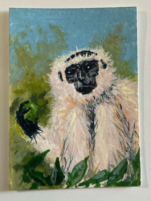 Pale Gibbon aceo art card