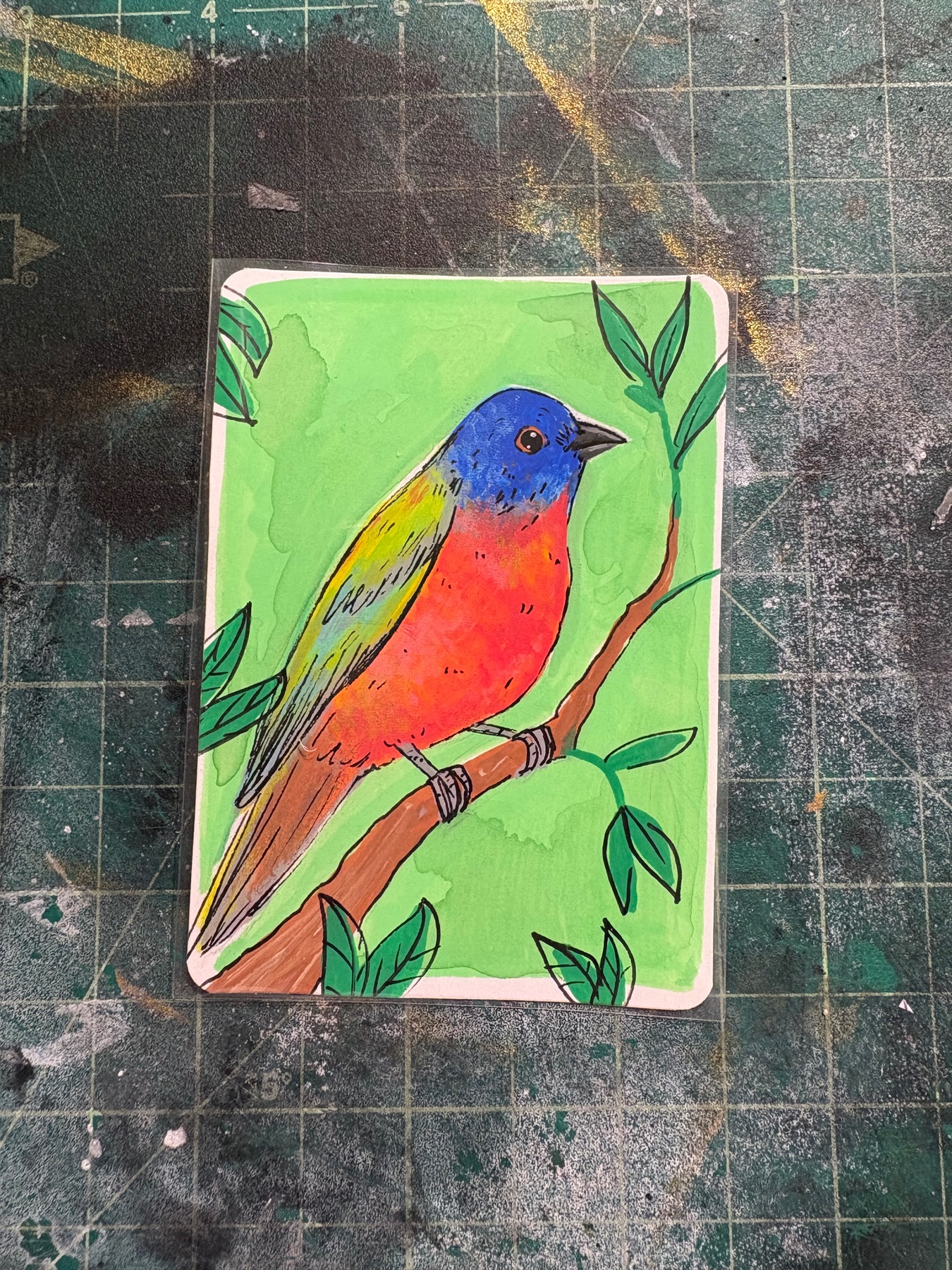 Painted Bunting aceo art card