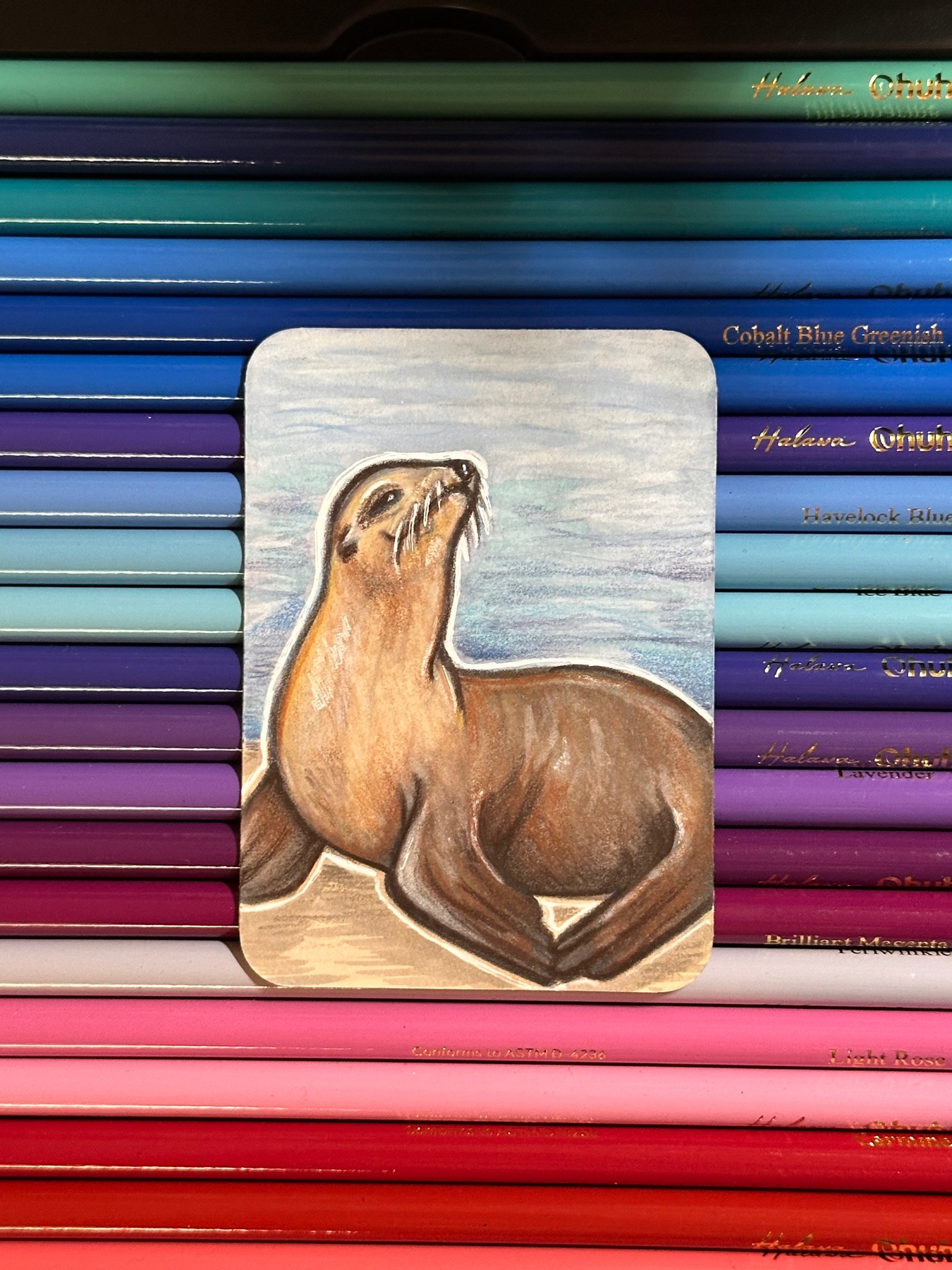 Seal aceo art card