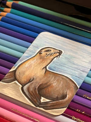 Seal aceo art card thumbnail 2