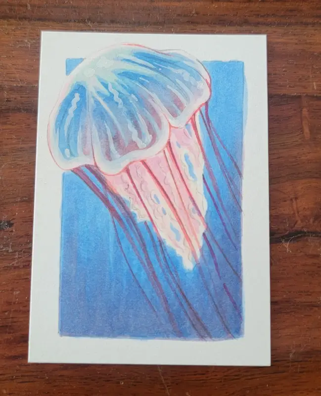 ACEO Original Marker Drawing - Florida, Sea Animal, Jellyfish, Ocean, Wildlife aceo art card