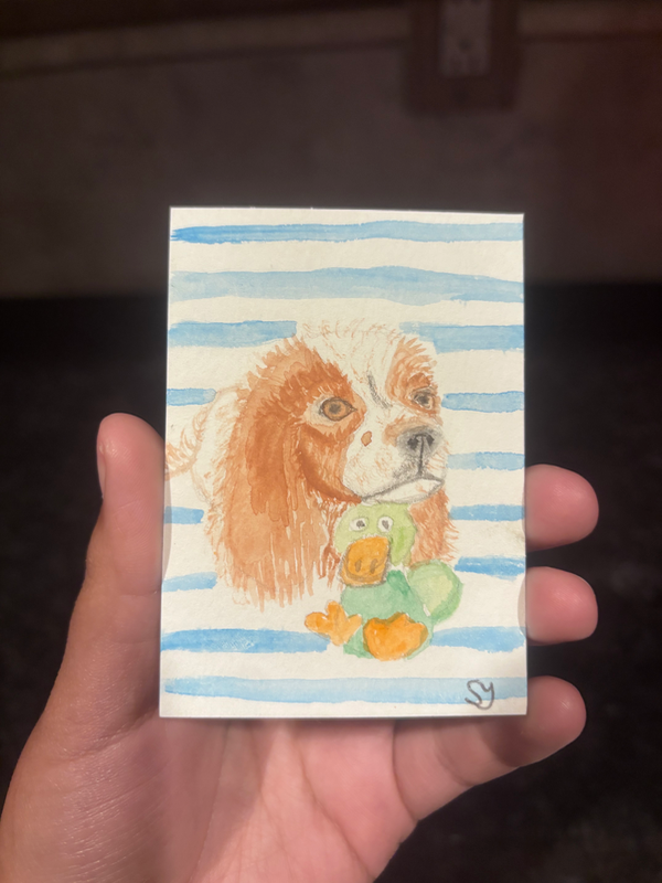 Cavalier King Charles Spaniel aceo art card