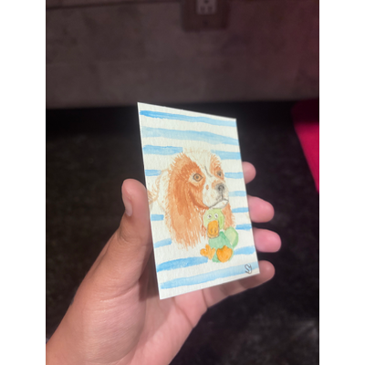Cavalier King Charles Spaniel aceo art card thumbnail 2