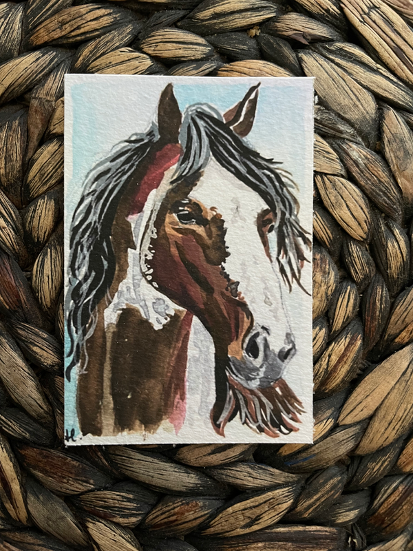Painted Beauty - Horse in Watercolor aceo art card
