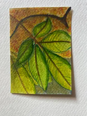 Leaves aceo art card thumbnail 3
