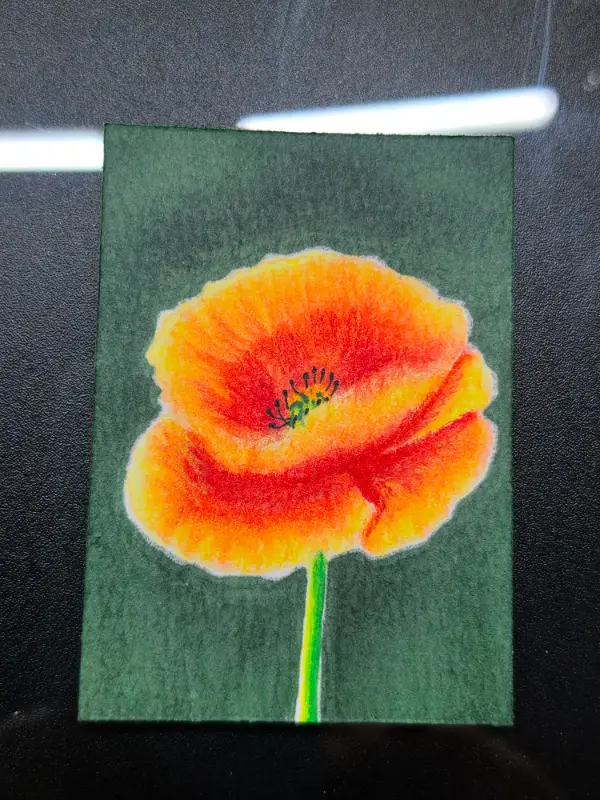 Glowing Poppy aceo art card
