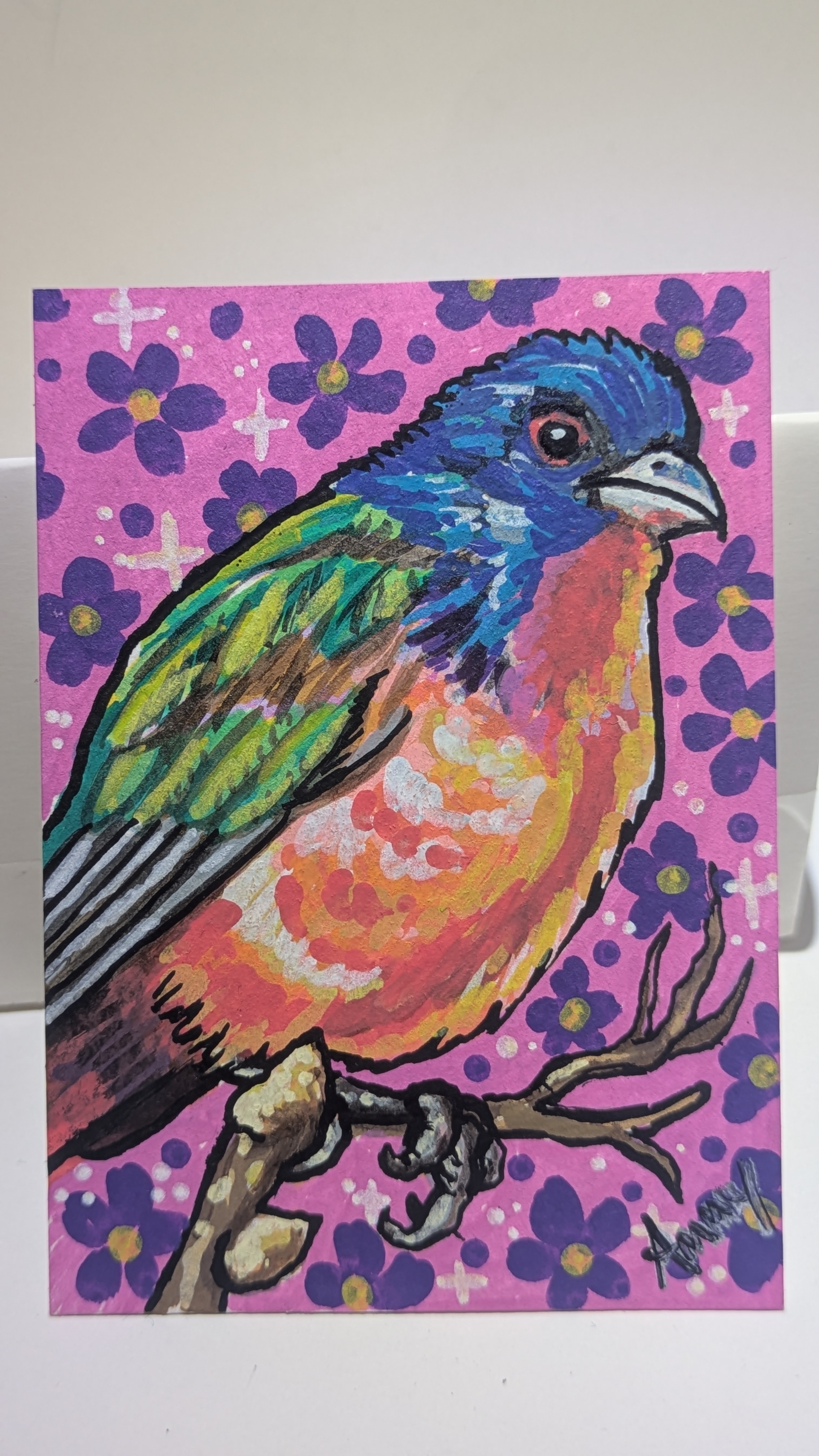 Painted Bunting aceo art card