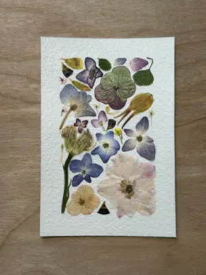Pressed Flowers #1 aceo art card thumbnail 1