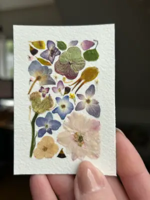 Pressed Flowers #1 aceo art card thumbnail 2
