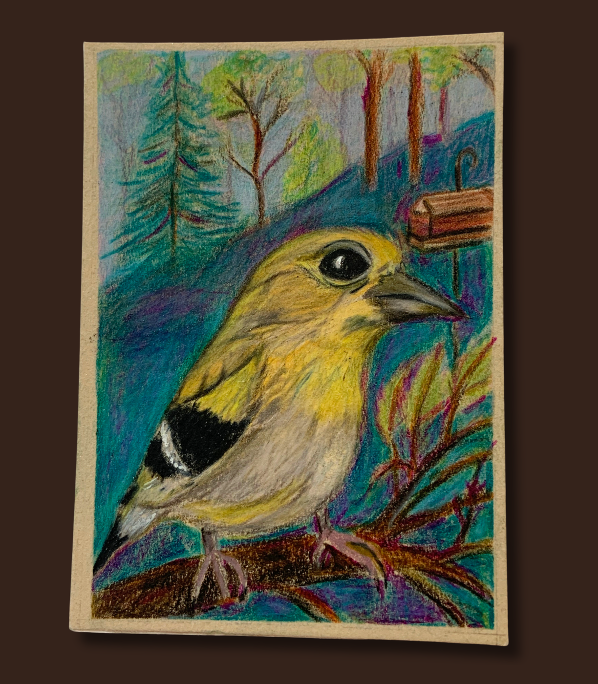 Goldfinch on a Limb - Colored Pencil and Ink on Stonehenge Paper ACEO aceo art card