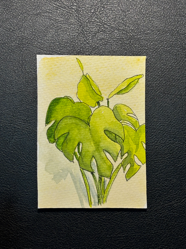 Monstera Magic aceo art card