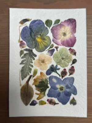 Pressed Flowers #10 aceo art card thumbnail 1