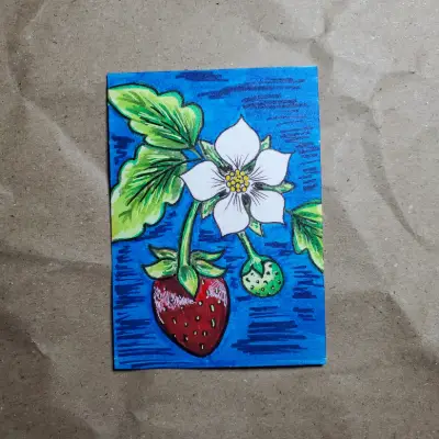 Strawberry Stages aceo art card thumbnail 2