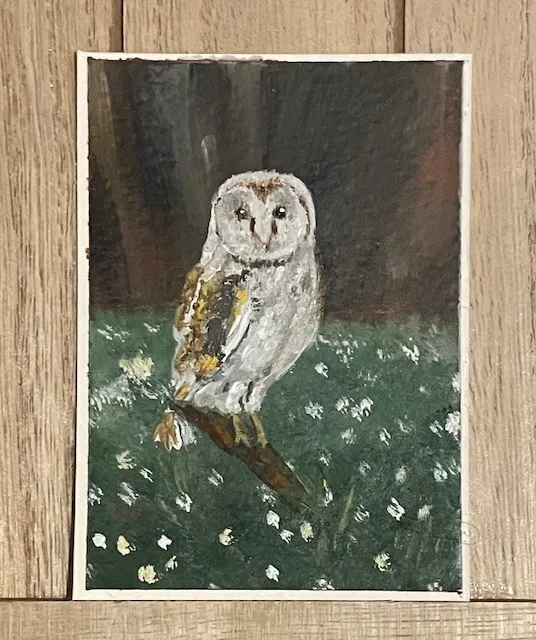 Owl in a the land of Clovers aceo art card