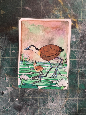 African Jacana aceo art card thumbnail 1
