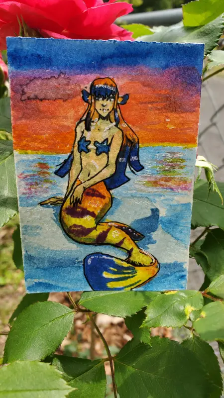 Flame Angelfish dragonsarthoard aceo art card