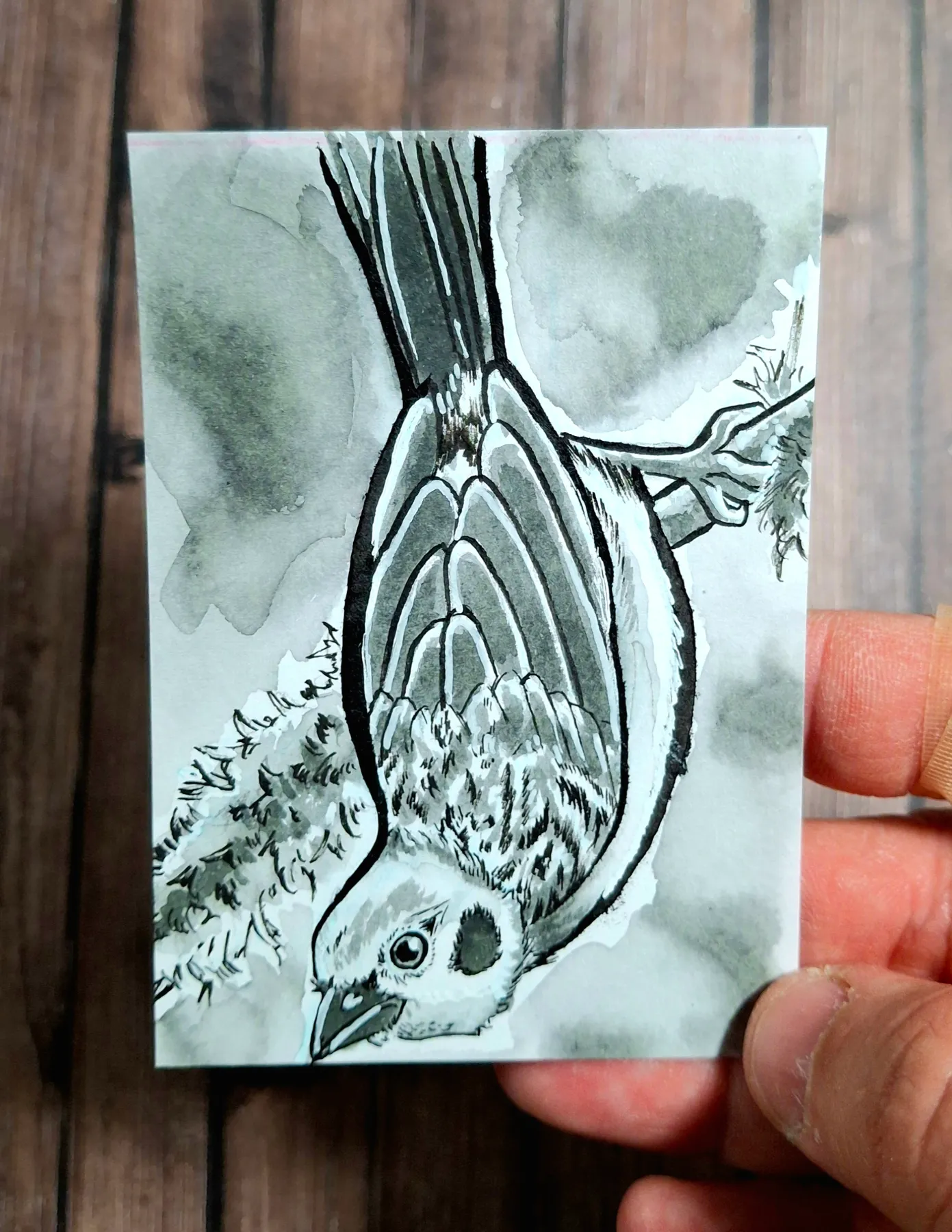 Perching Bird in Ink aceo art card