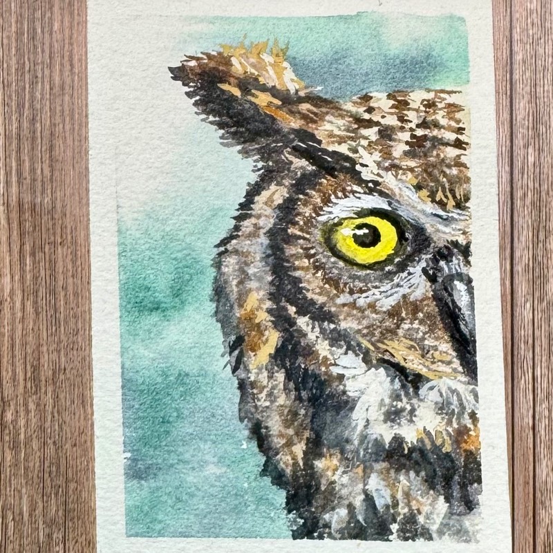 Great Horned Owl aceo art card