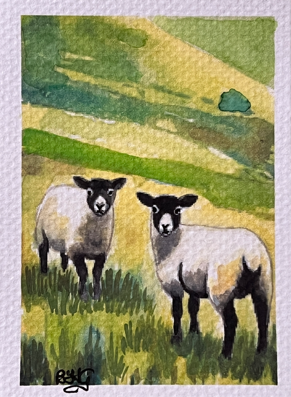 Irish Sheep 2 aceo art card