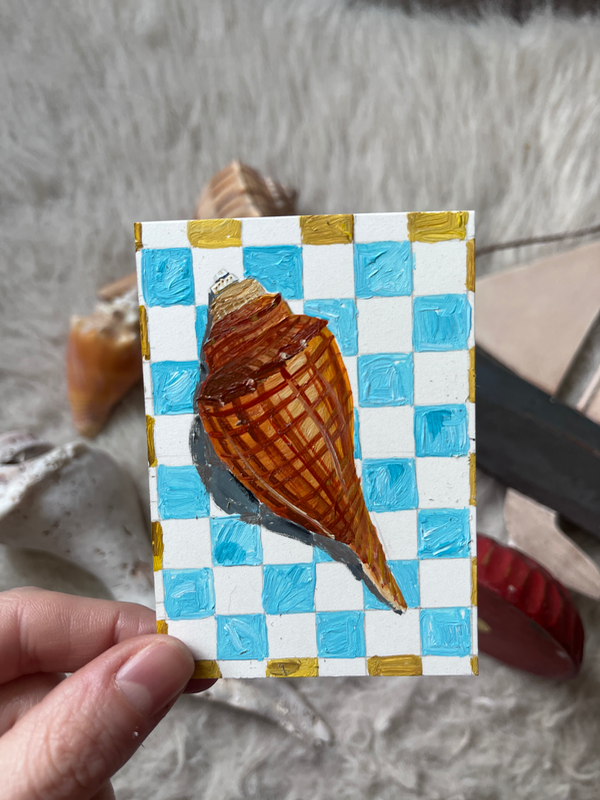 Seashells + Checkers 7 - Lightning Whelk aceo art card