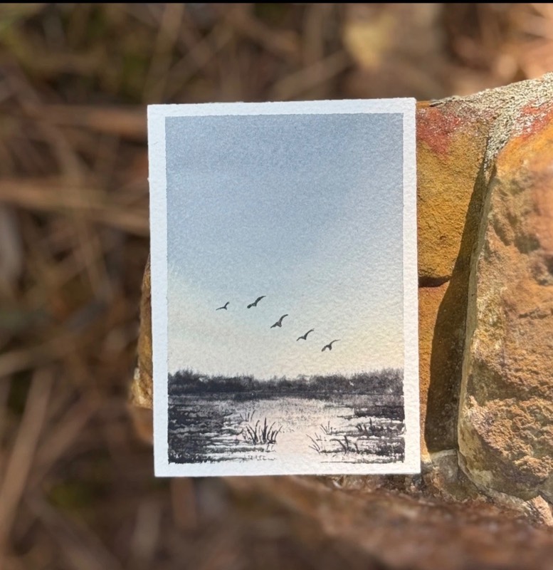 ACEO Watercolor “Duck pond” aceo art card