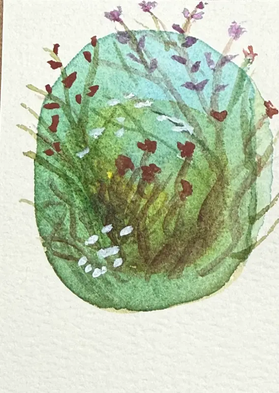 Secret Meadow aceo art card