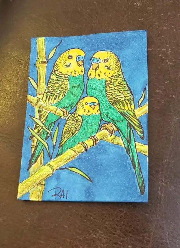 Parakeet Family aceo art card