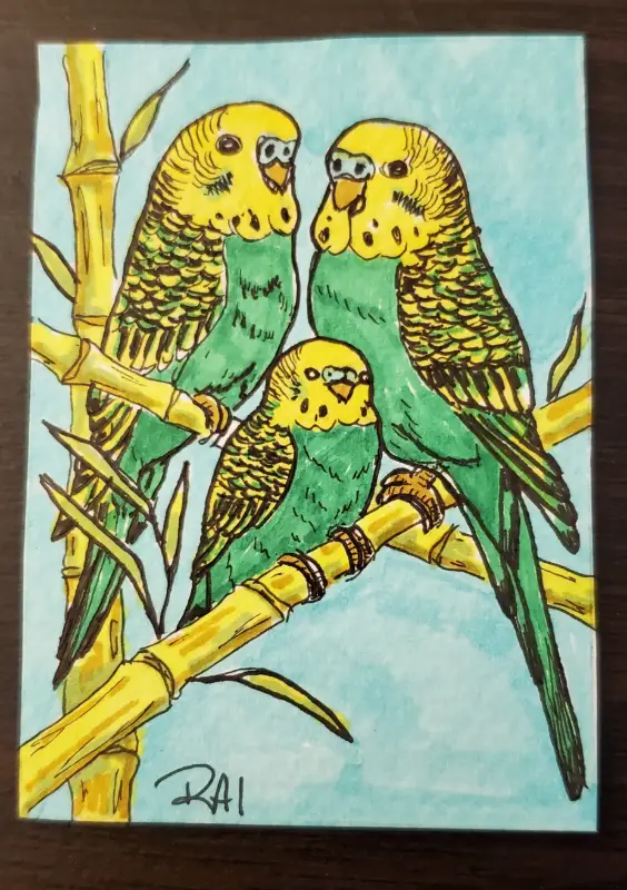 Parakeet Family aceo art card