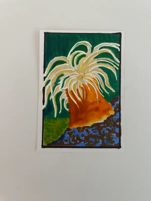 Sea Anemone aceo art card