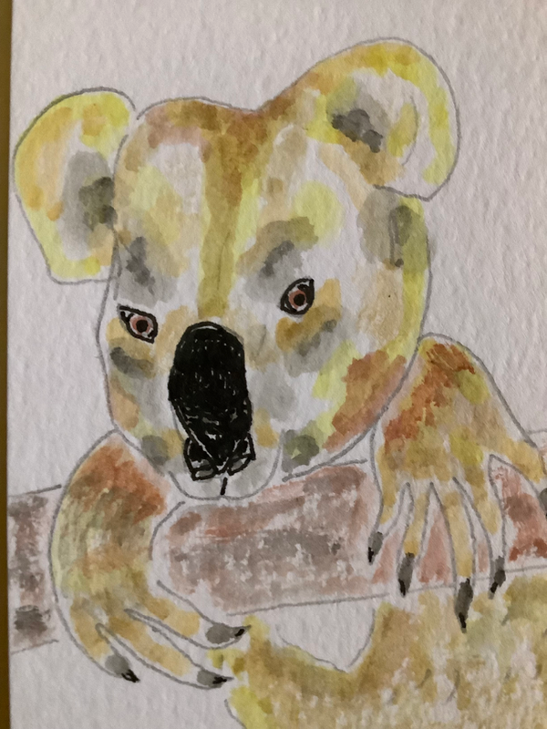 Koala aceo art card
