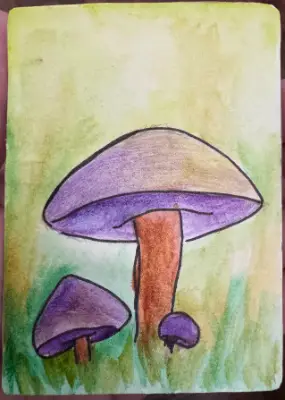 ACEOs Original Art Drawing , Mushroom Series 1 No. 1 of 6 , Watercolor aceo art card thumbnail 1