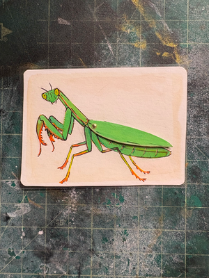 Praying Mantis aceo art card thumbnail 2