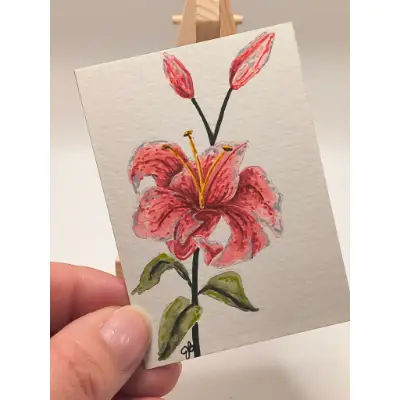 Pink Lily 001 aceo art card thumbnail 2