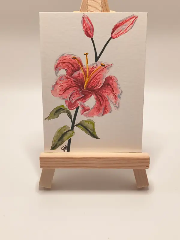 Pink Lily 001 aceo art card